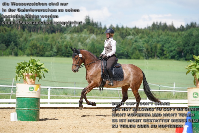 s_K3F04665.JPG